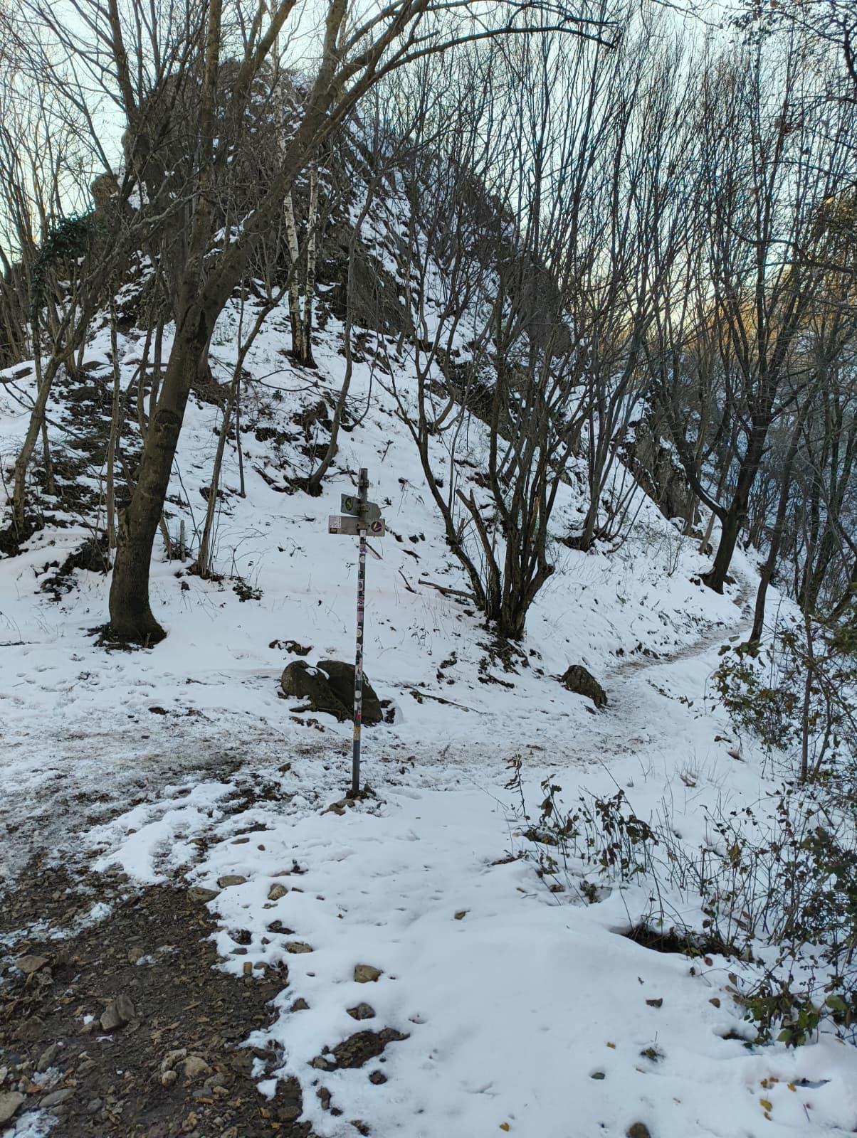 Foto n° 9 del trekking Monte Barro Innevato